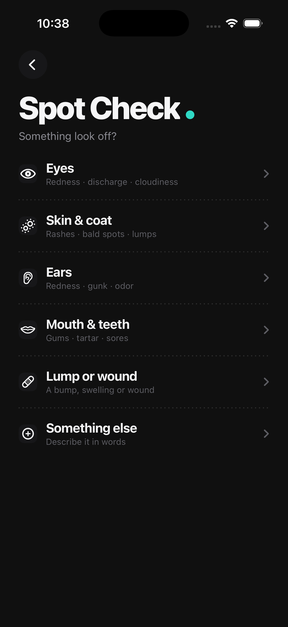 Spot Check — pick what looks off for an instant read