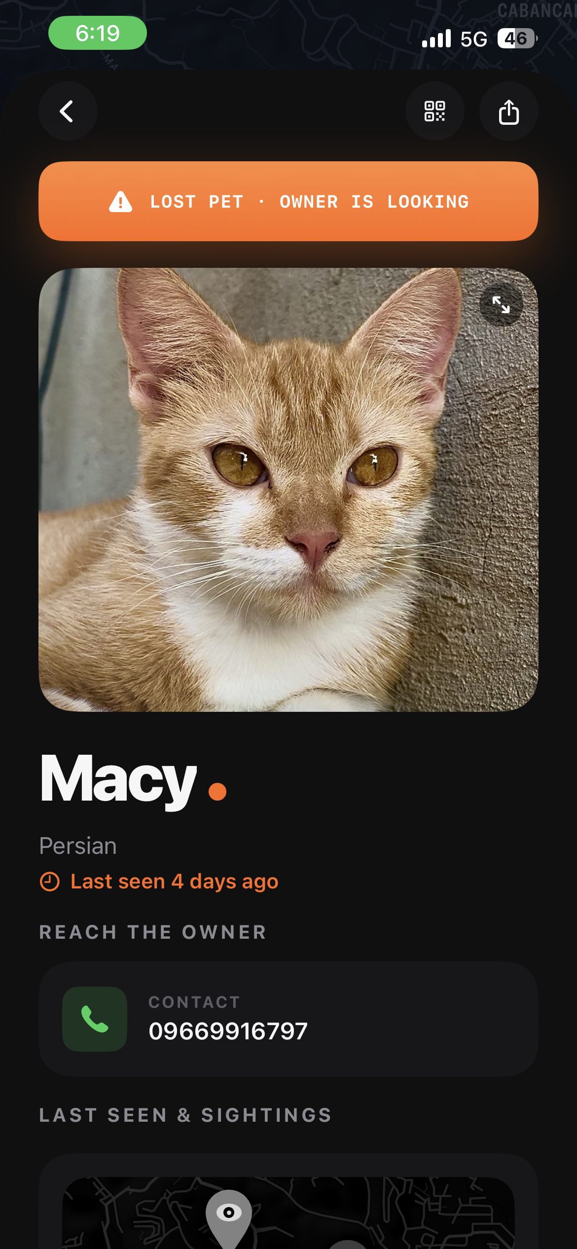 Lost pet page for Macy
