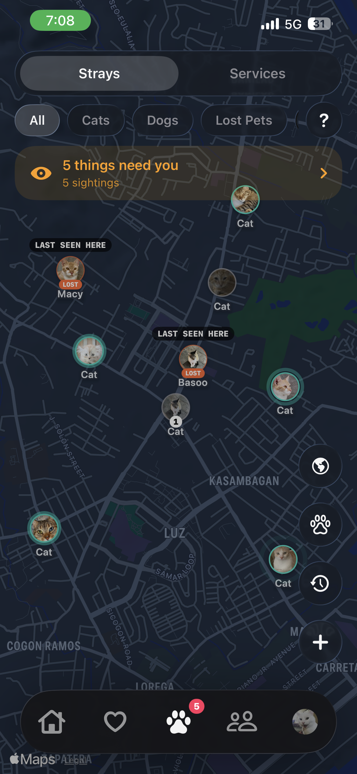 Stray map — stray and lost-pet pins across the neighborhood