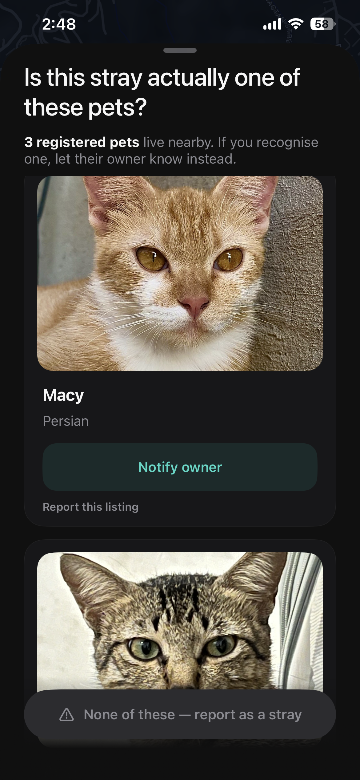 Duplicate check — is this stray actually a registered pet nearby?
