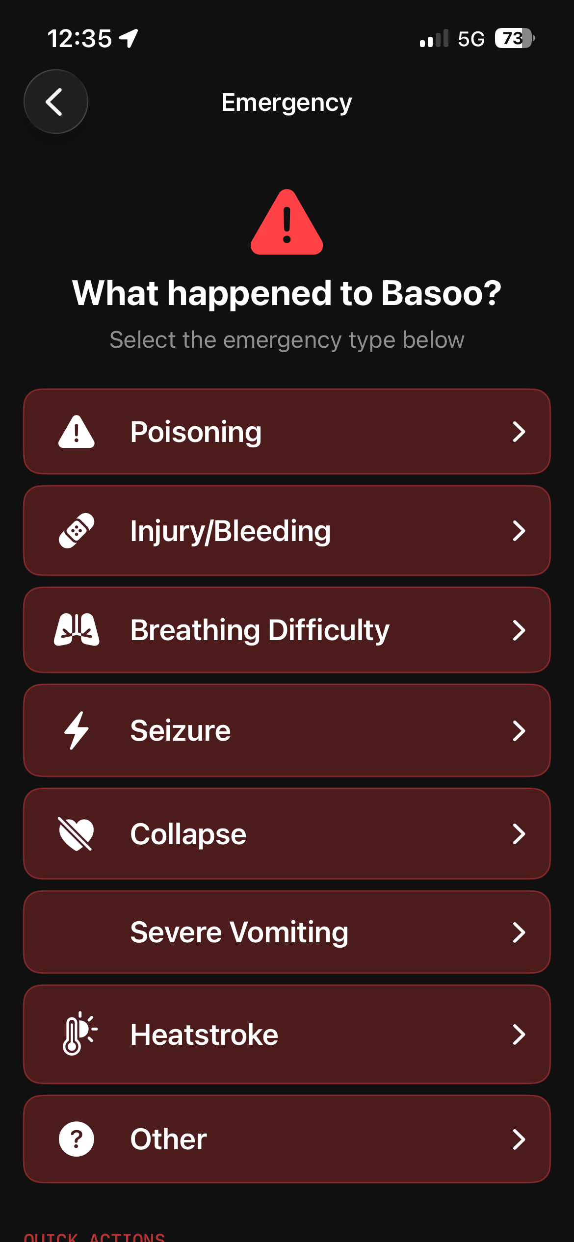 Emergency triage